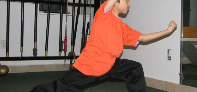 Why Kungfu Could be the Best Martial Art for Children